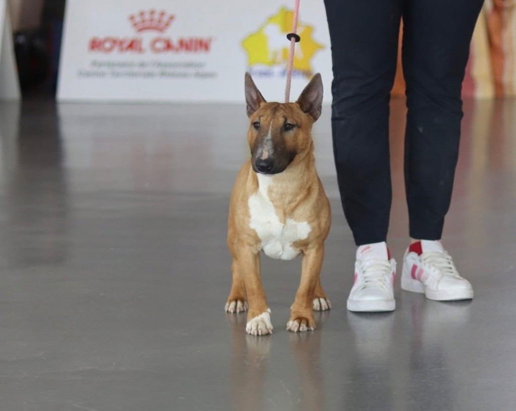 Viviane Des Minis De Ryosie