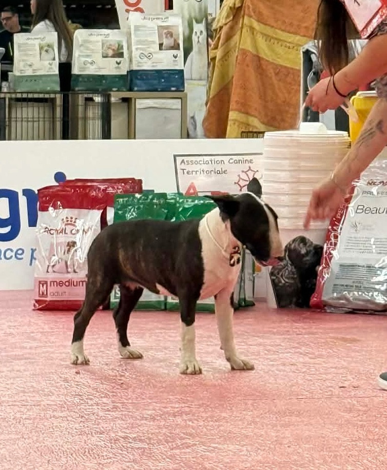 Axor mercedes Des Minis De Ryosie